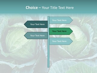Cabbage Fresh Vegetable PowerPoint Template