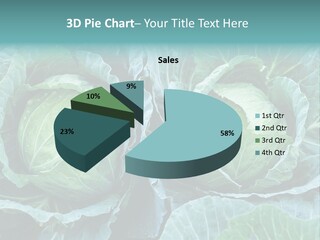 Cabbage Fresh Vegetable PowerPoint Template