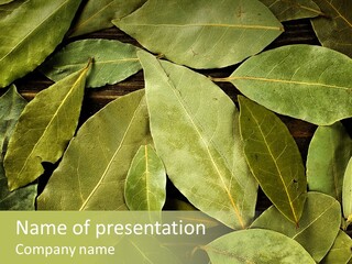 Seasoning Natural Fresh PowerPoint Template