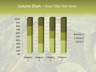 Seasoning Natural Fresh PowerPoint Template