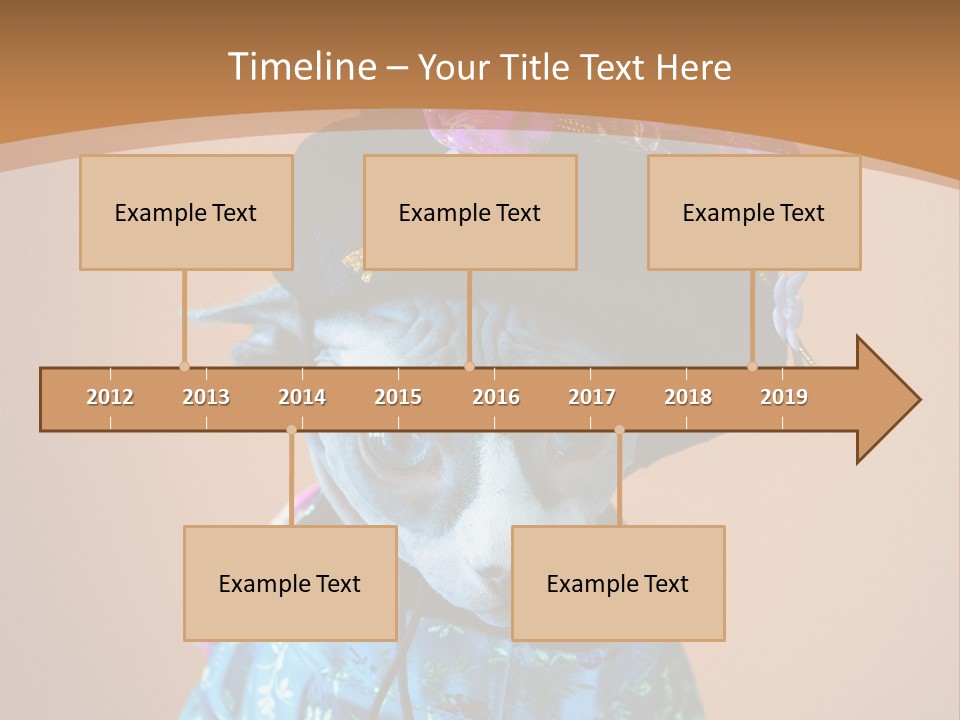 Cute Sitting Fashion PowerPoint Template