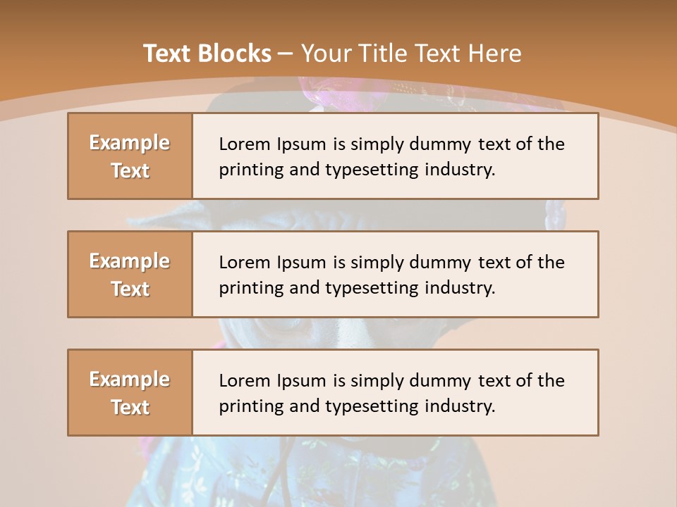 Cute Sitting Fashion PowerPoint Template