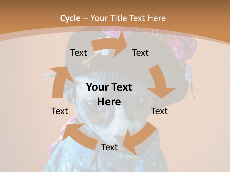 Cute Sitting Fashion PowerPoint Template