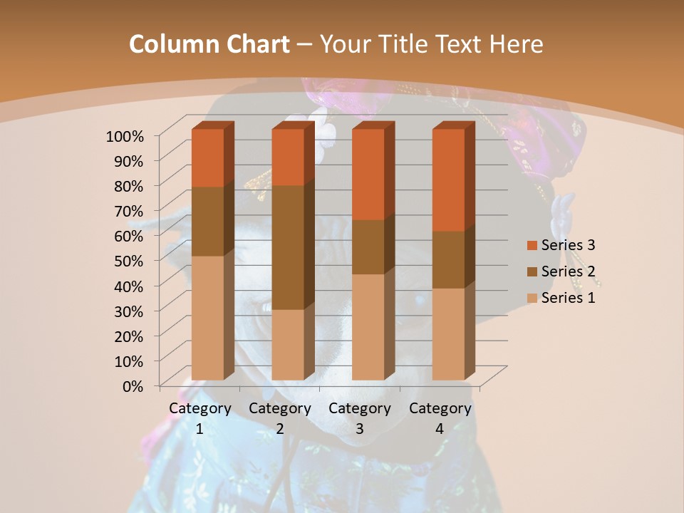 Cute Sitting Fashion PowerPoint Template