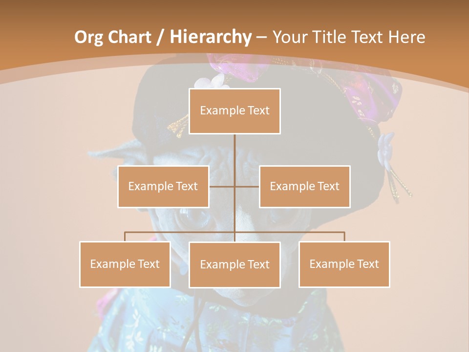 Cute Sitting Fashion PowerPoint Template