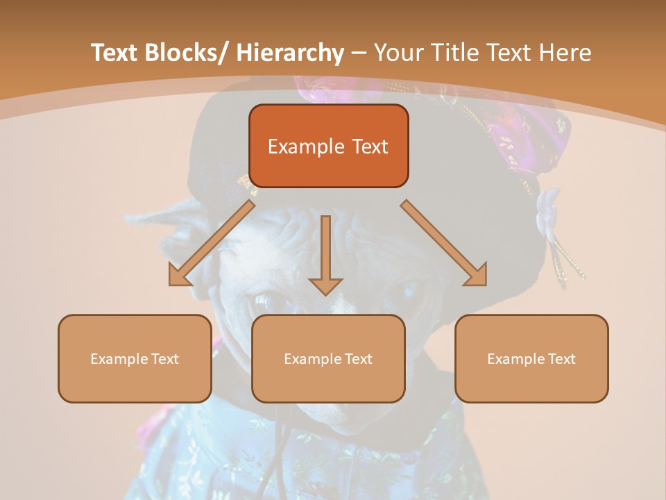 Cute Sitting Fashion PowerPoint Template