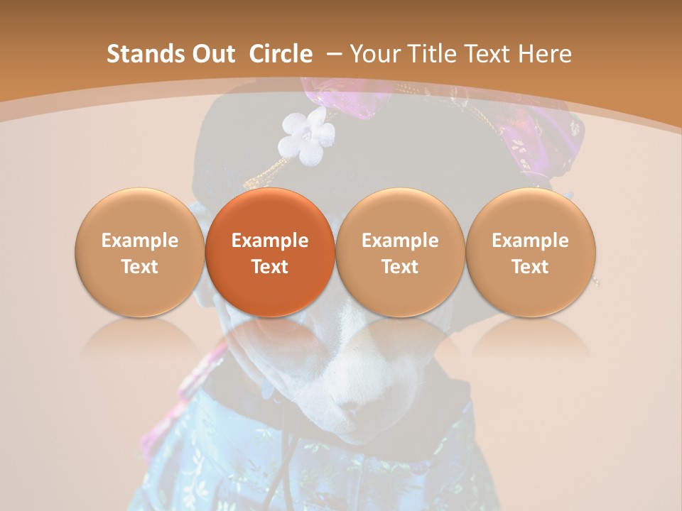 Cute Sitting Fashion PowerPoint Template