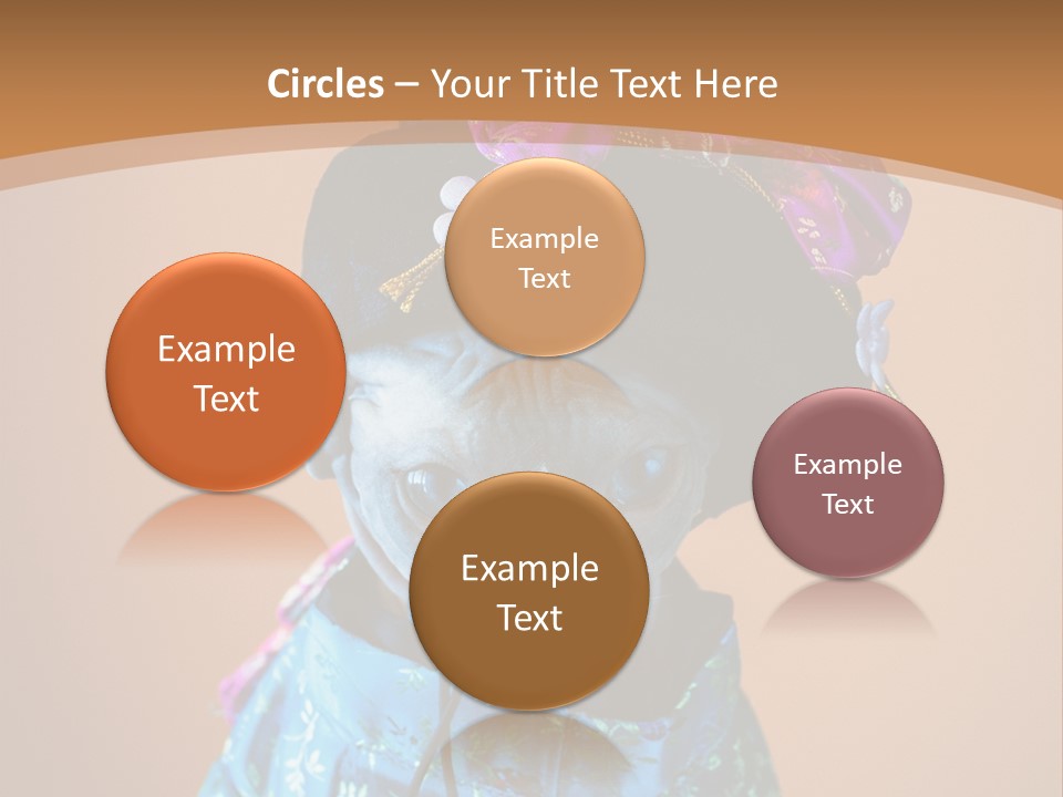 Cute Sitting Fashion PowerPoint Template