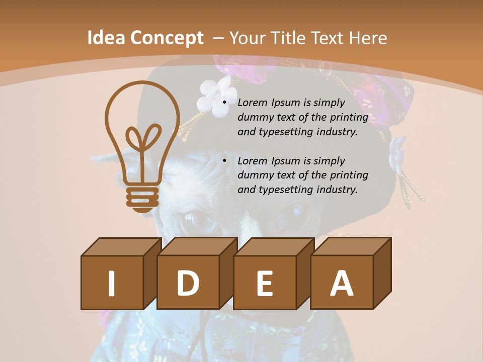 Cute Sitting Fashion PowerPoint Template