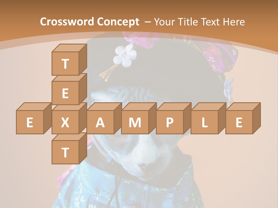 Cute Sitting Fashion PowerPoint Template