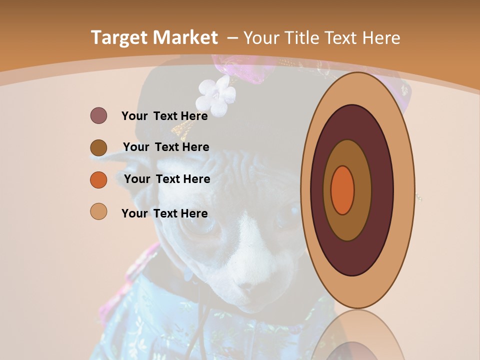 Cute Sitting Fashion PowerPoint Template