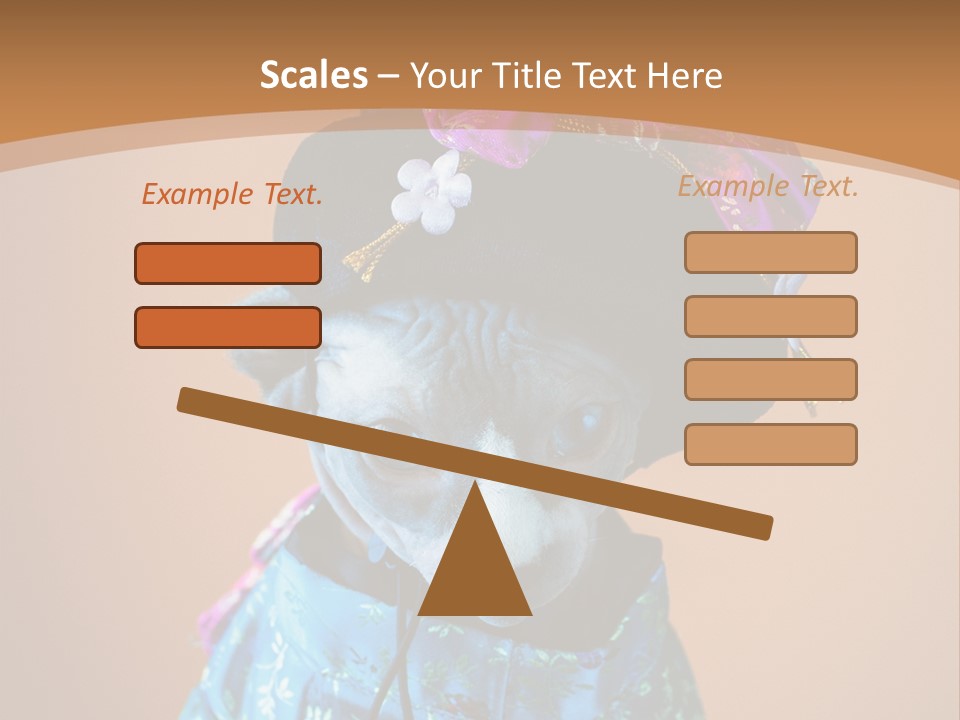 Cute Sitting Fashion PowerPoint Template