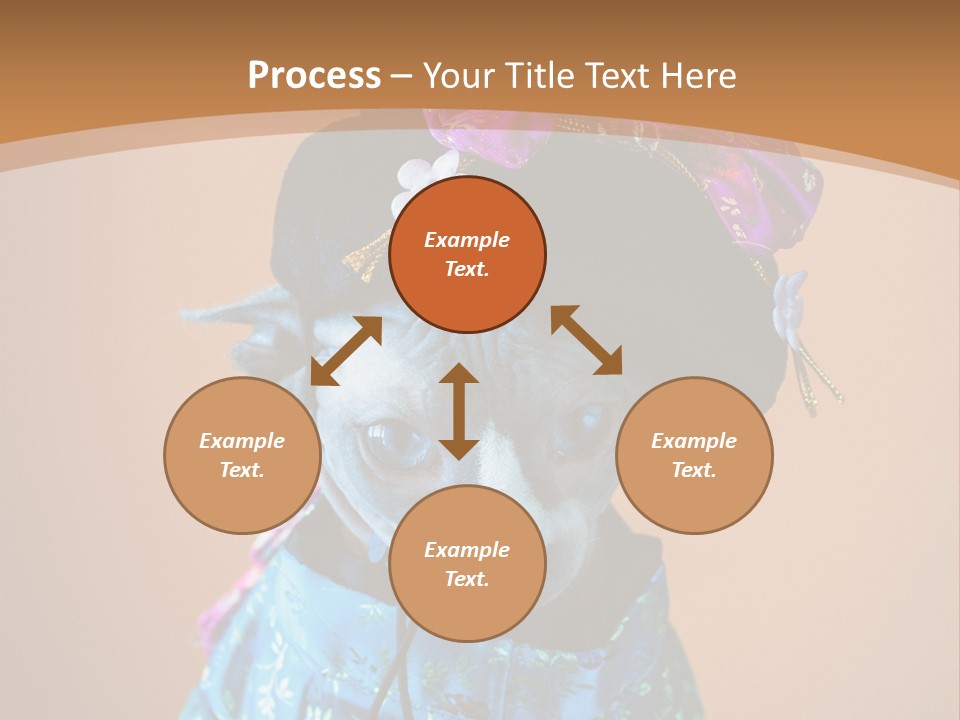 Cute Sitting Fashion PowerPoint Template