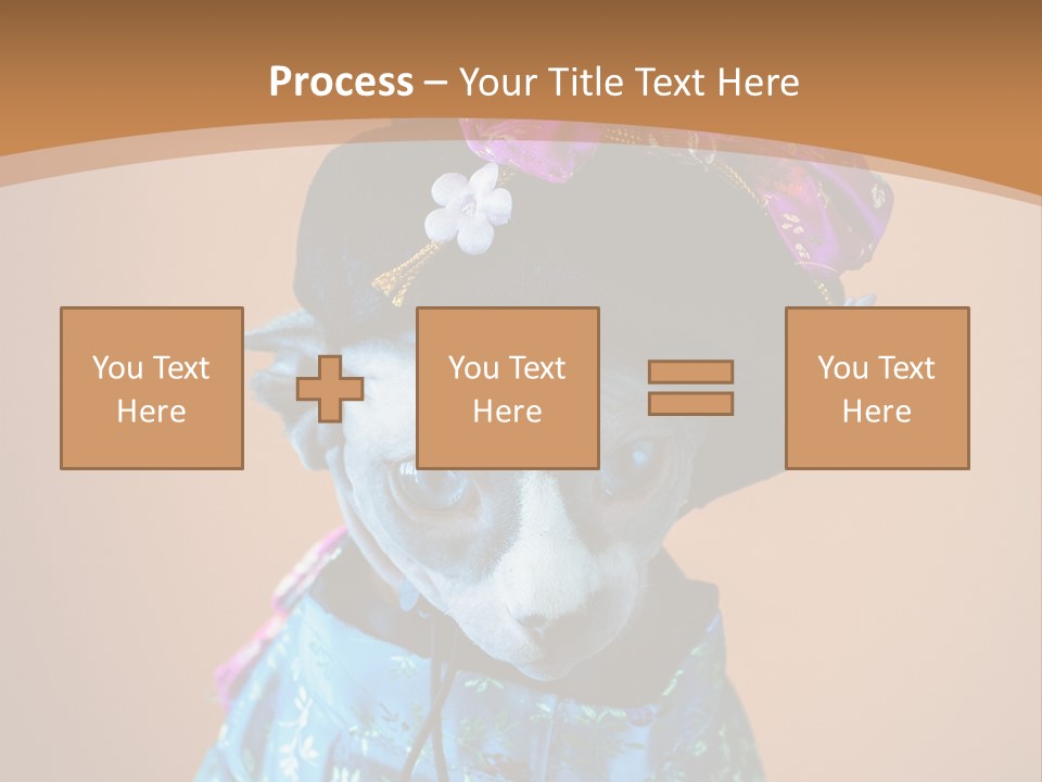 Cute Sitting Fashion PowerPoint Template