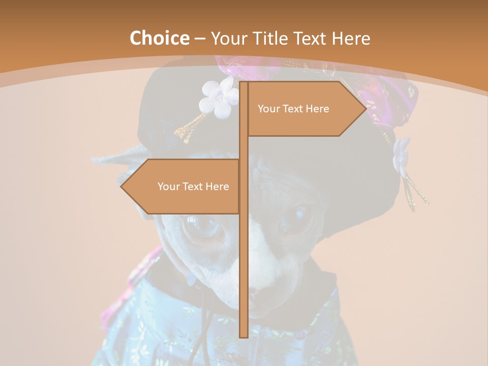 Cute Sitting Fashion PowerPoint Template