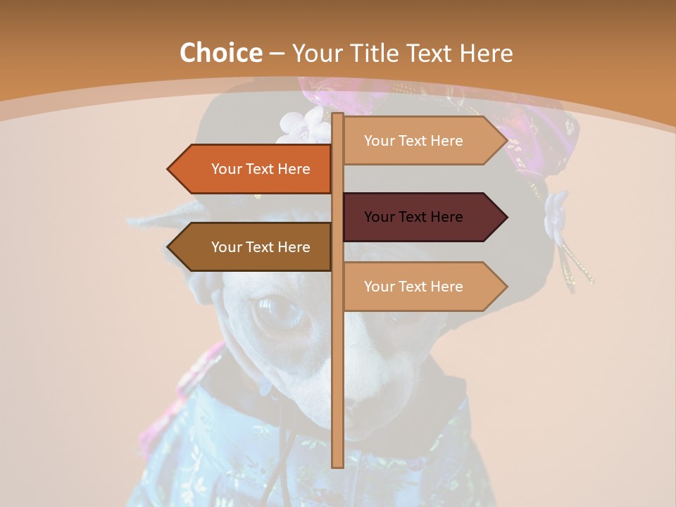 Cute Sitting Fashion PowerPoint Template