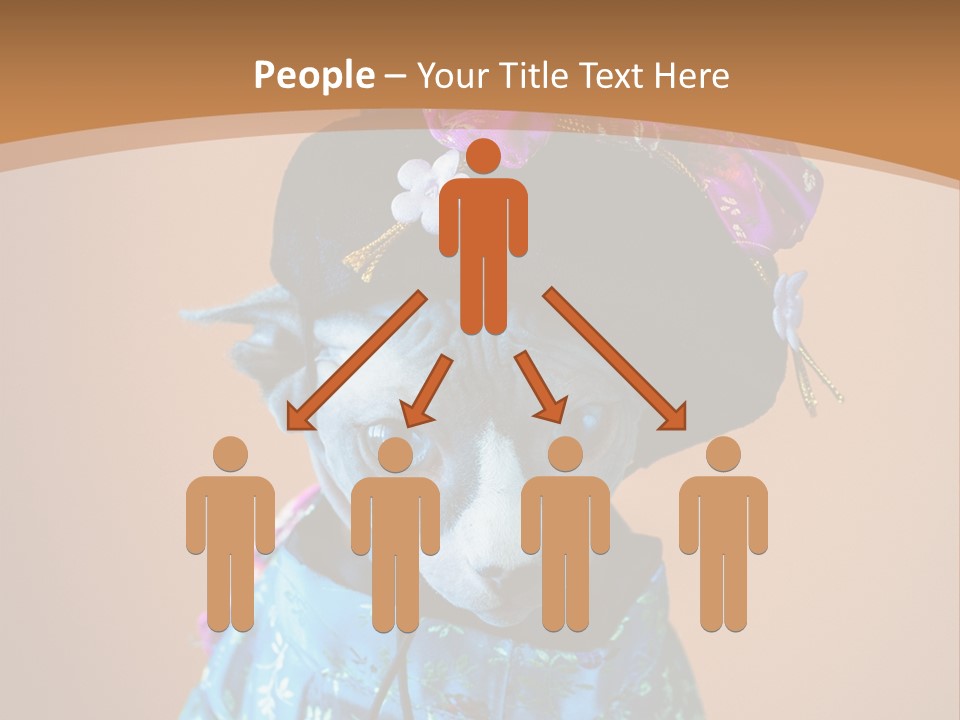 Cute Sitting Fashion PowerPoint Template