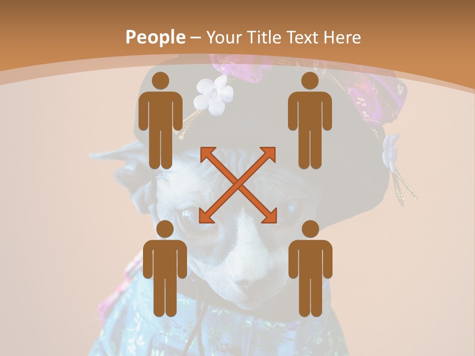 Cute Sitting Fashion PowerPoint Template