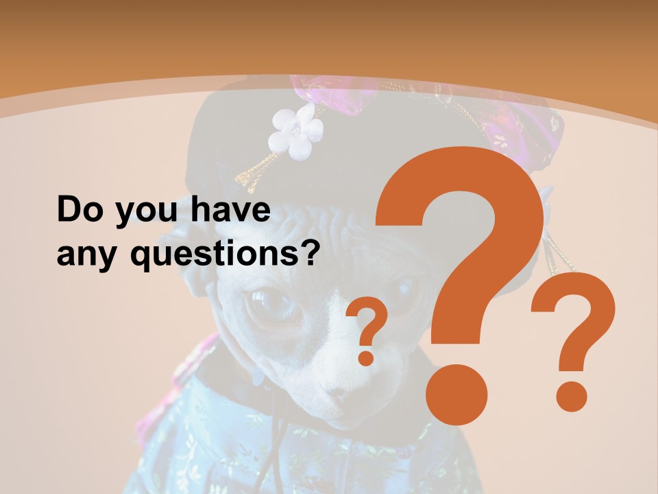 Cute Sitting Fashion PowerPoint Template