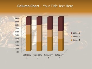 Sell Wealthy Investment PowerPoint Template