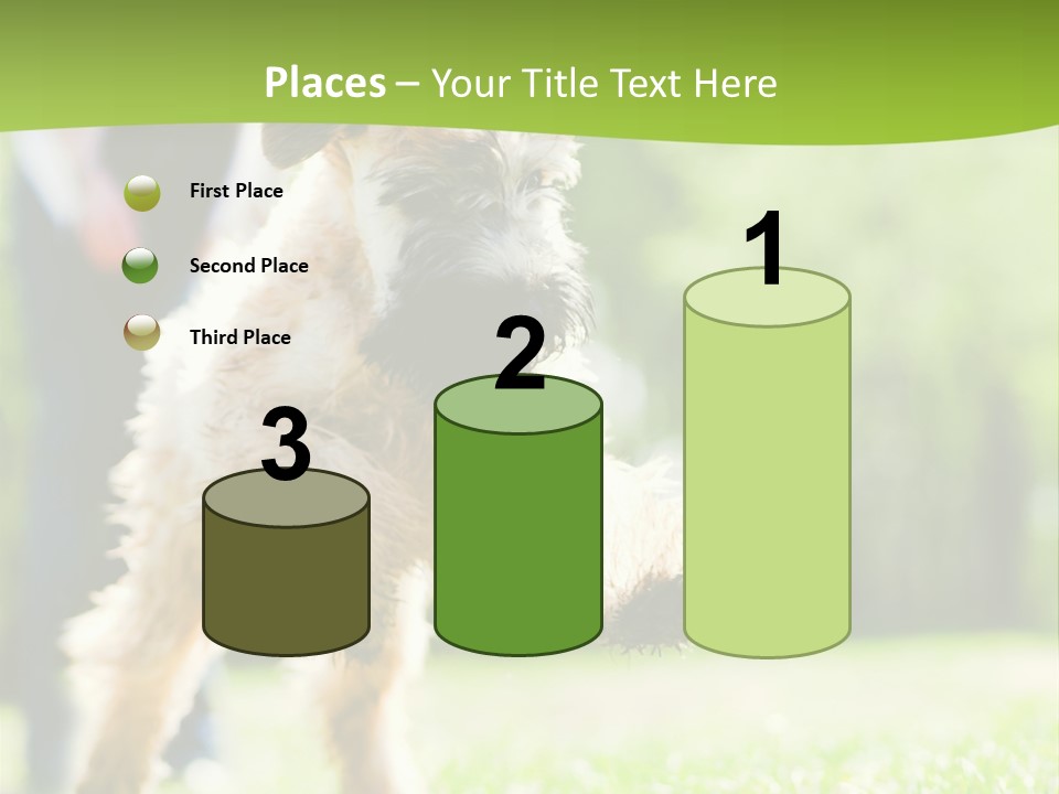 Science Information Geometric PowerPoint Template