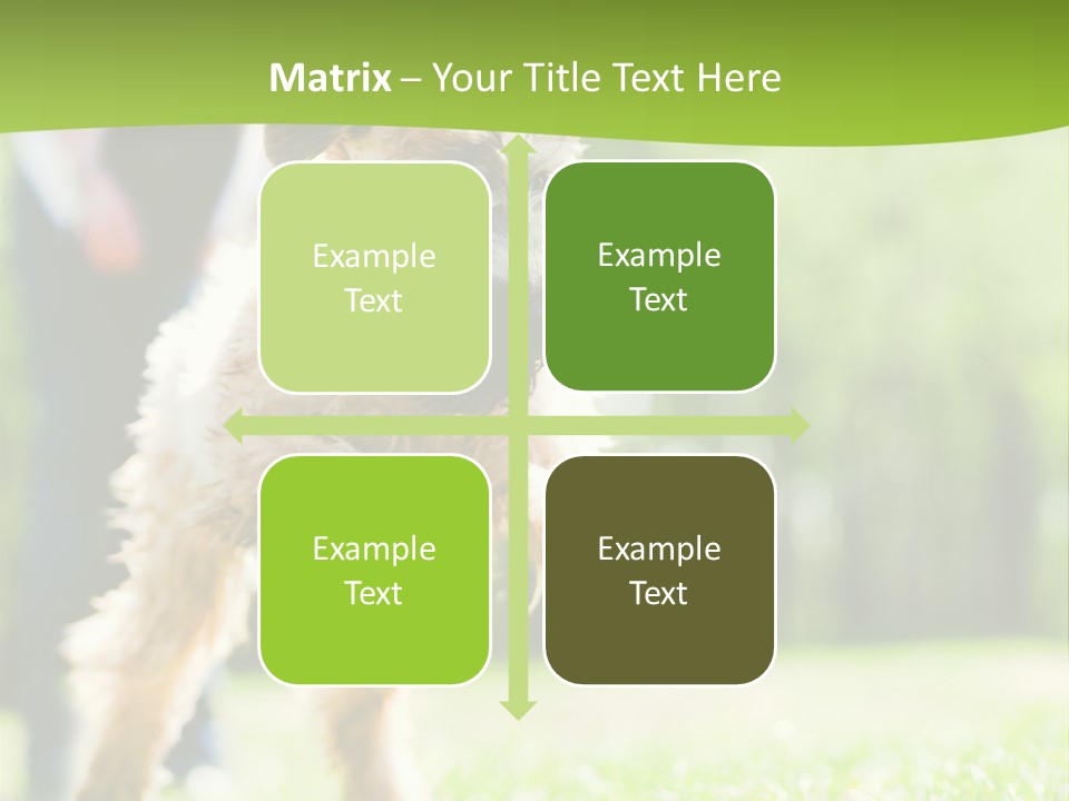 Science Information Geometric PowerPoint Template