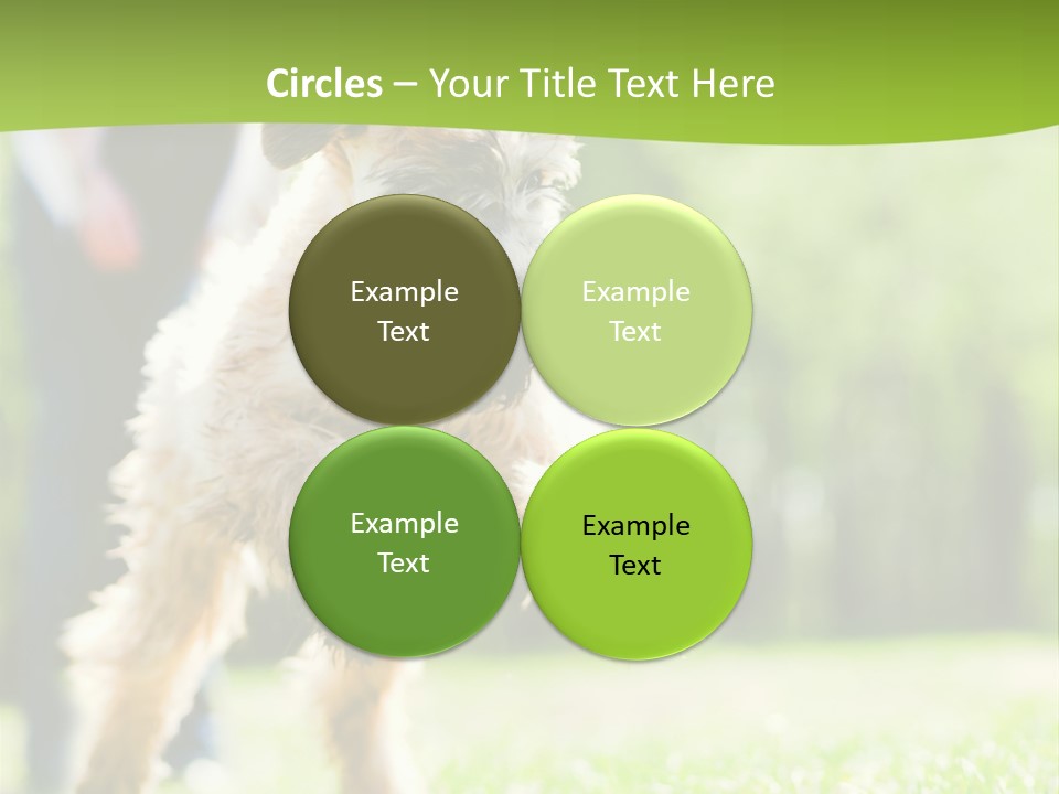 Science Information Geometric PowerPoint Template
