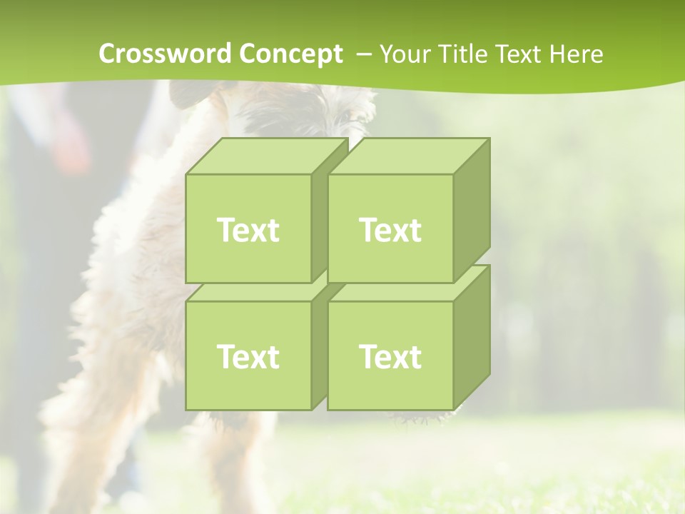 Science Information Geometric PowerPoint Template