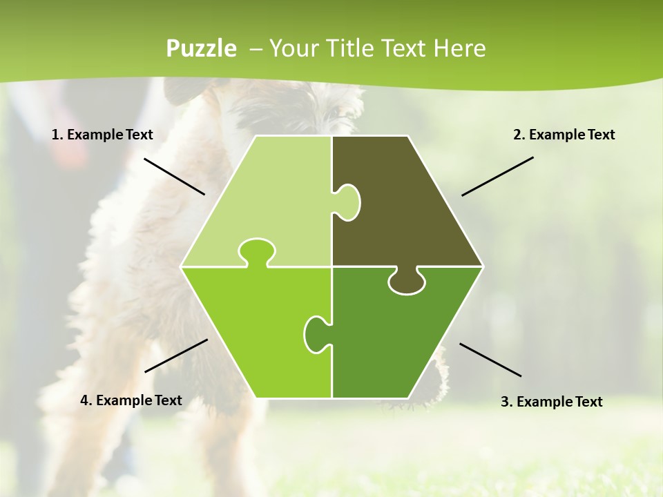 Science Information Geometric PowerPoint Template