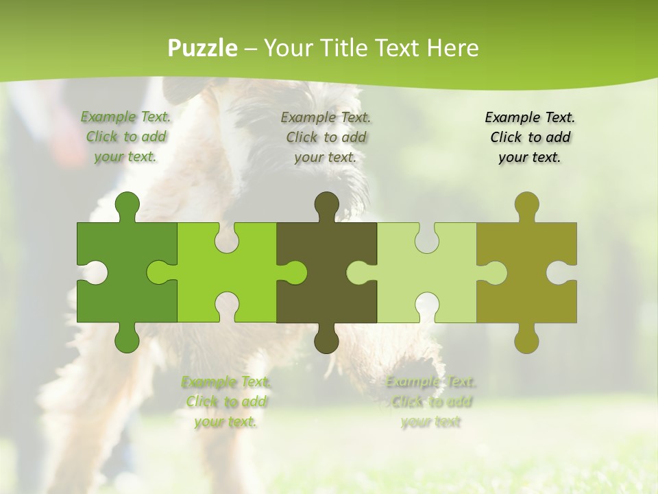 Science Information Geometric PowerPoint Template