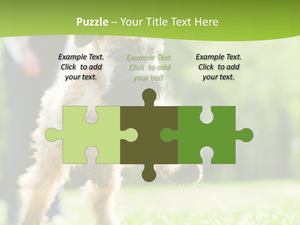 Science Information Geometric PowerPoint Template