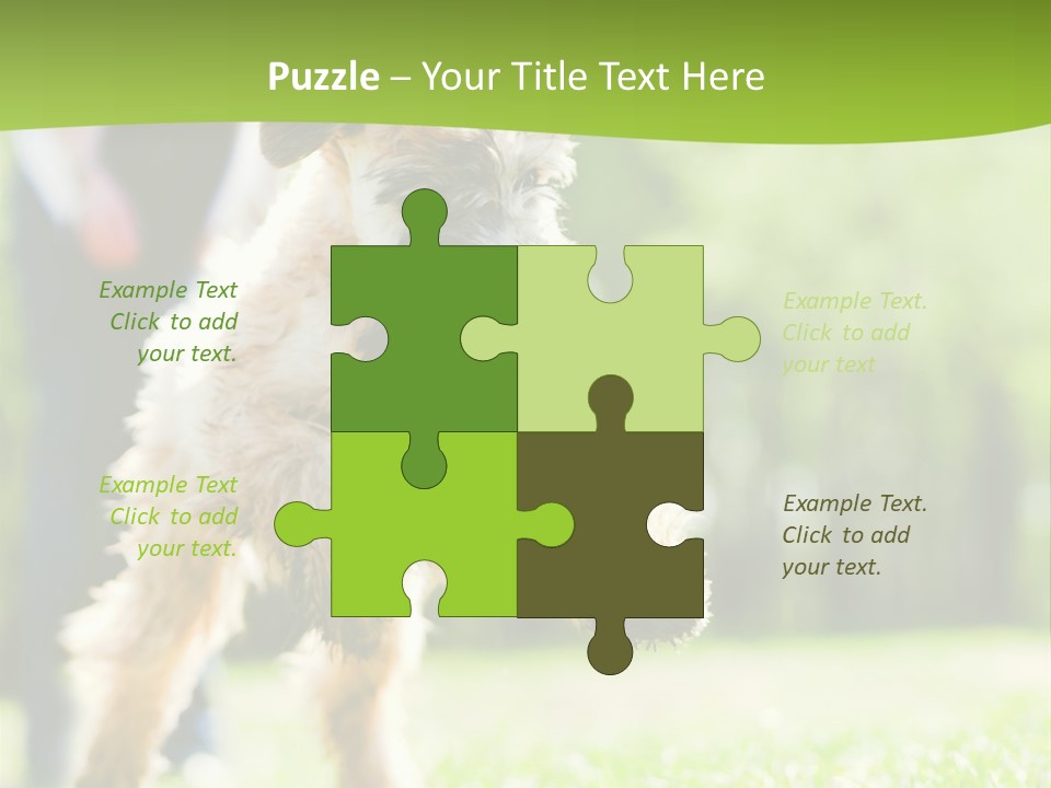 Science Information Geometric PowerPoint Template