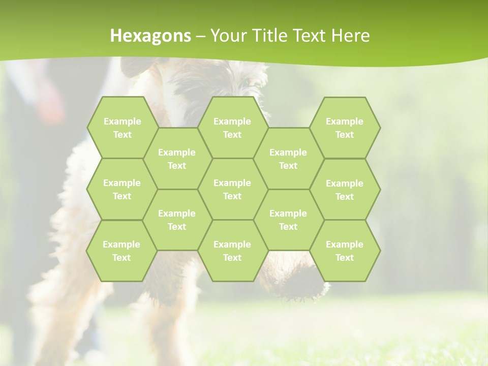 Science Information Geometric PowerPoint Template