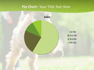 Science Information Geometric PowerPoint Template