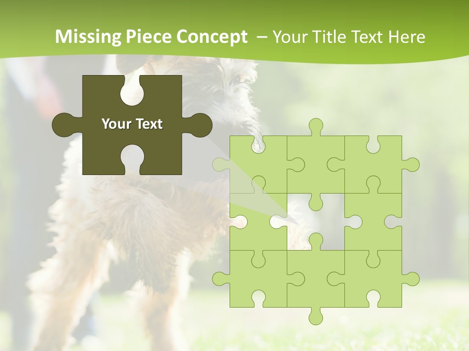 Science Information Geometric PowerPoint Template