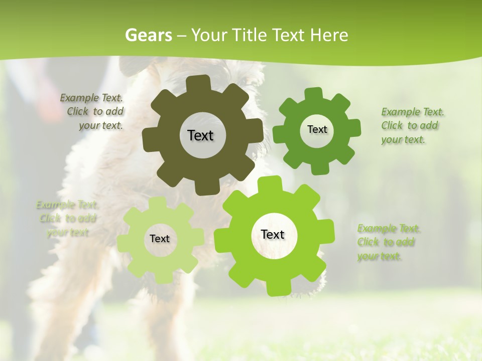 Science Information Geometric PowerPoint Template
