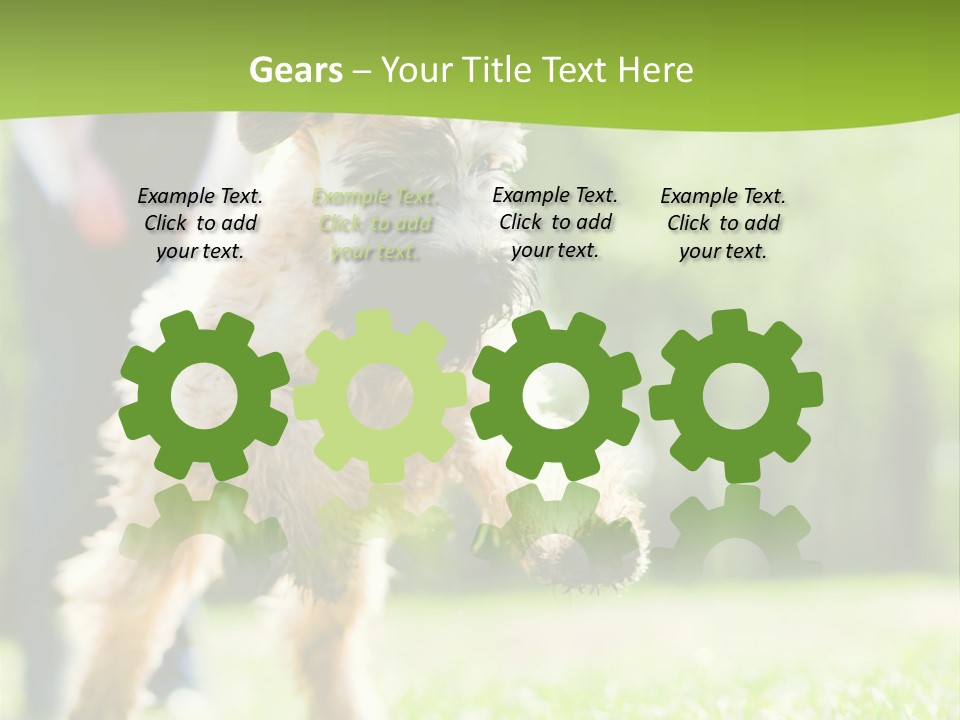 Science Information Geometric PowerPoint Template