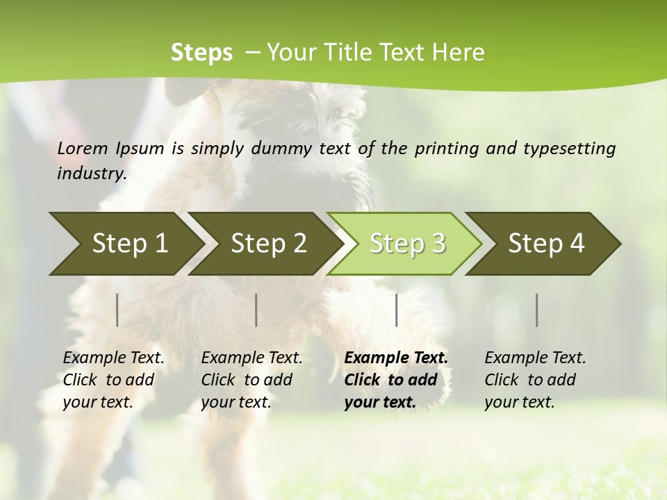 Science Information Geometric PowerPoint Template