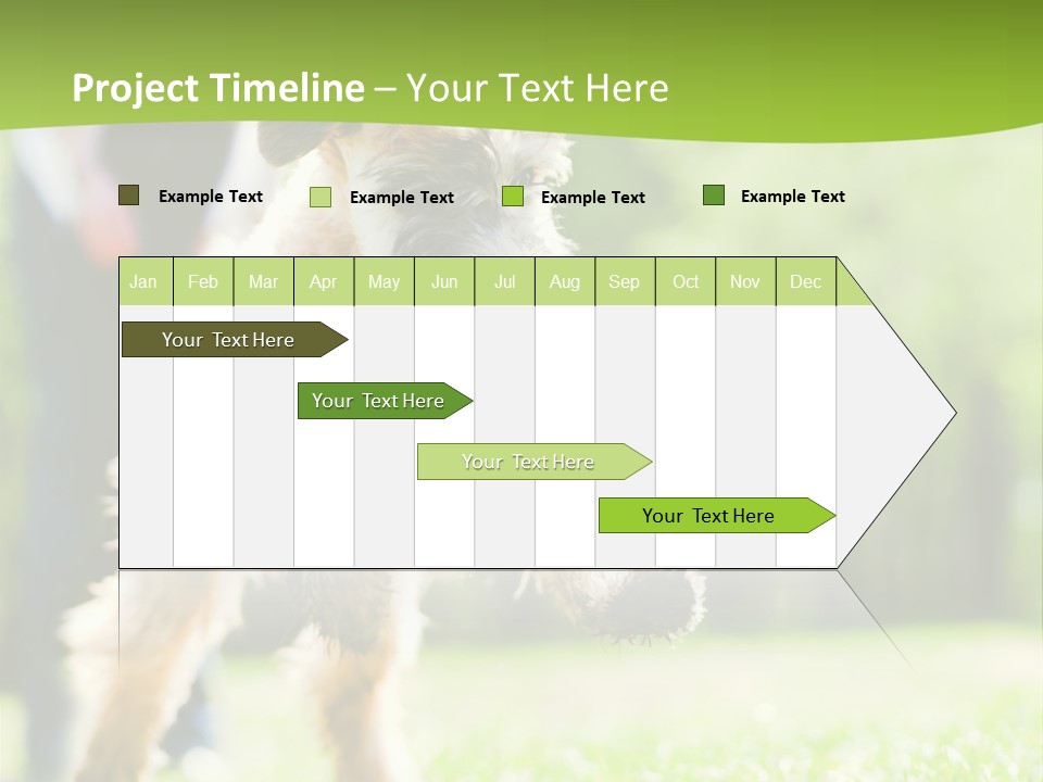 Science Information Geometric PowerPoint Template