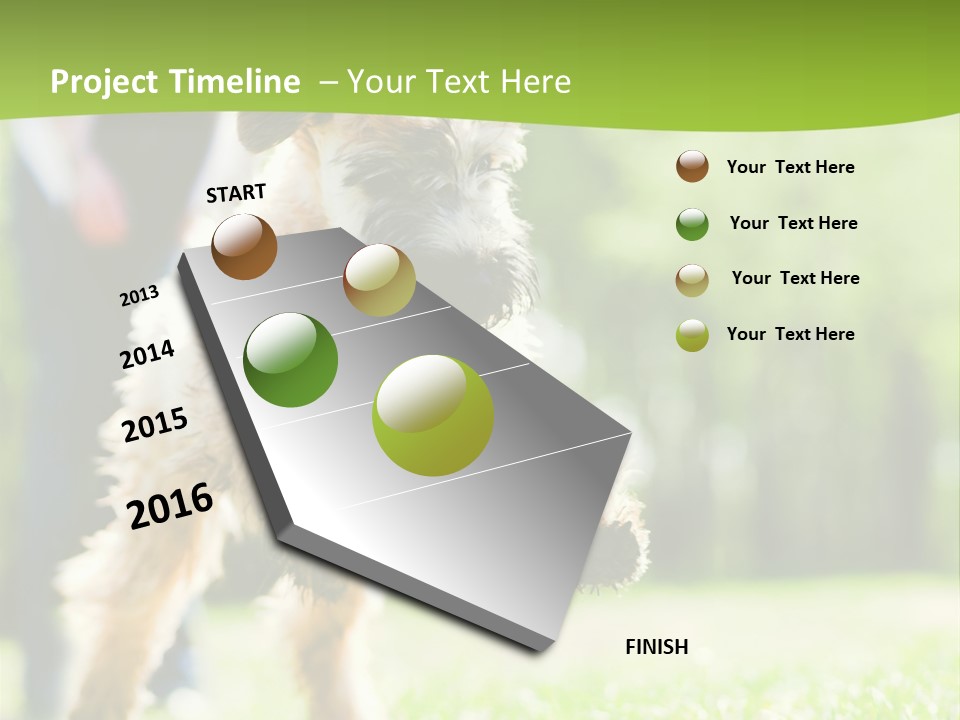 Science Information Geometric PowerPoint Template