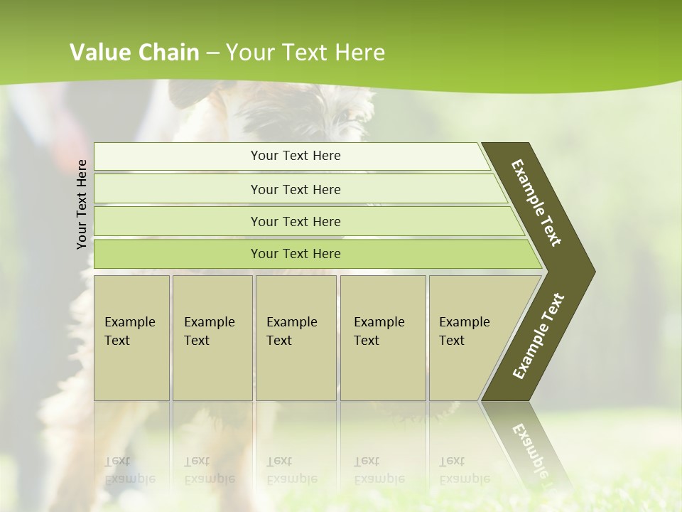 Science Information Geometric PowerPoint Template