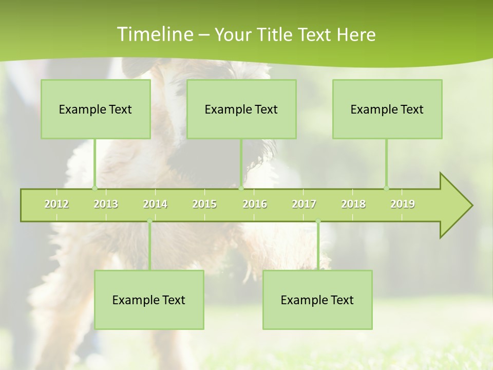 Science Information Geometric PowerPoint Template