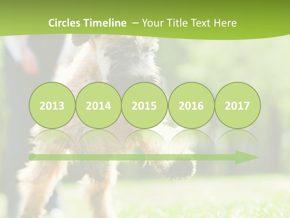 Science Information Geometric PowerPoint Template