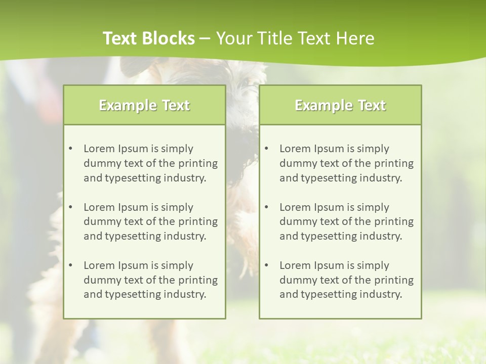 Science Information Geometric PowerPoint Template