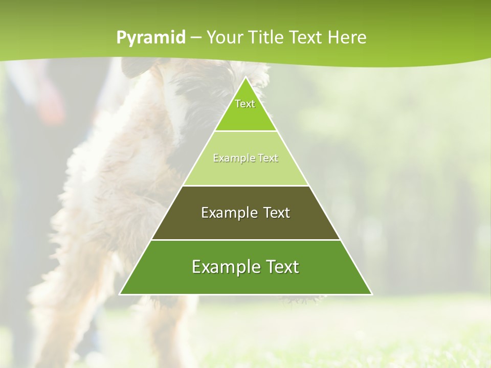 Science Information Geometric PowerPoint Template