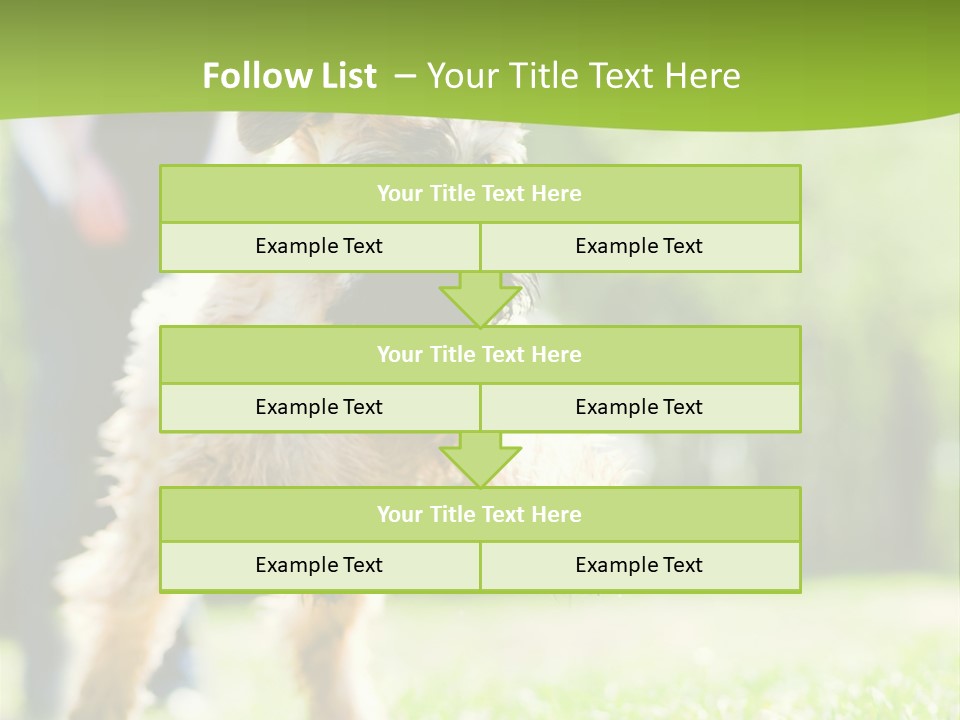 Science Information Geometric PowerPoint Template
