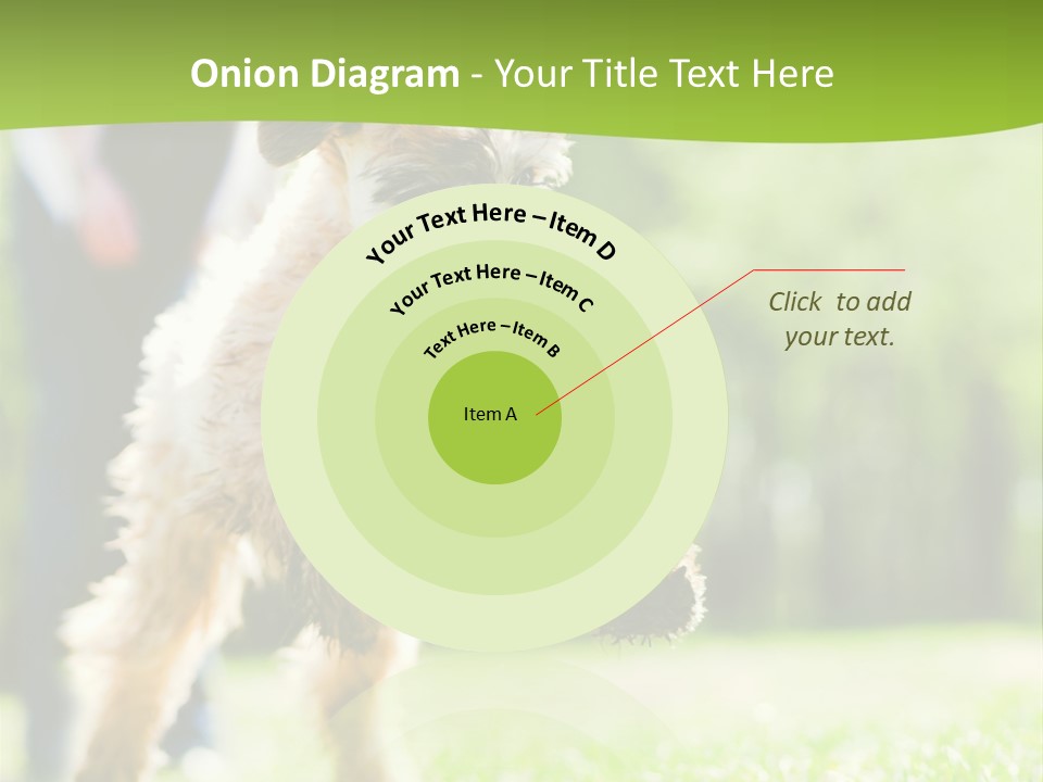 Science Information Geometric PowerPoint Template