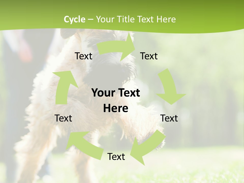 Science Information Geometric PowerPoint Template