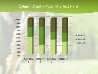 Science Information Geometric PowerPoint Template