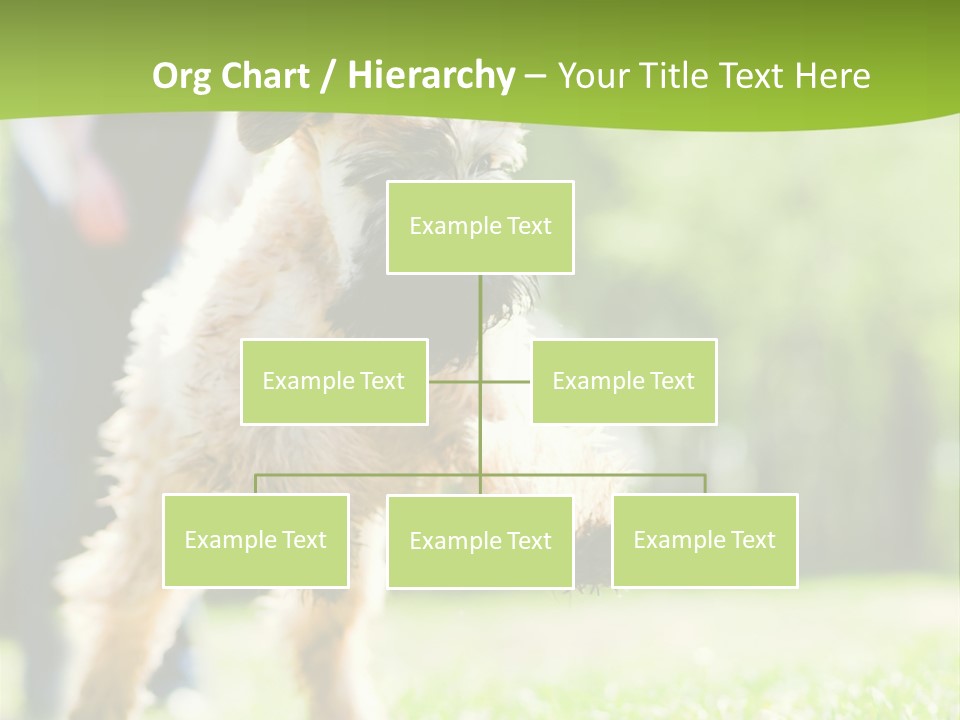 Science Information Geometric PowerPoint Template